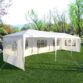 9. Canopy Party Tent 3x6 White